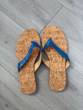 Jack Rogers Blue Cork-Soled Flip Flop Sandals